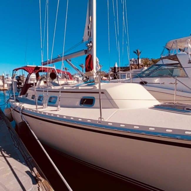 001_Caliber-35-Pochteca