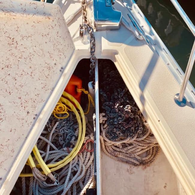 018_Caliber-35-Pochteca