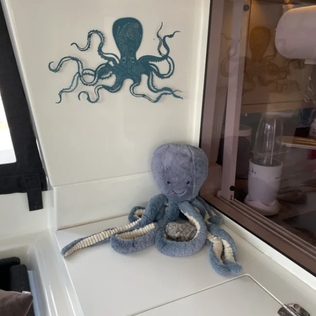 110_best-2016-lagoon-450f-cockpit-for-sale-in-mexico